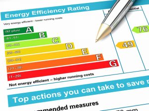 SAP Energy Rating & Reports